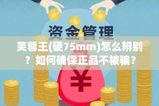 芙蓉王(硬75mm)怎么辨别？如何确保正品不被骗？